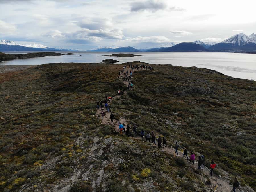 Ushuaia: Beagle Channel, Seal Island & Bridges Islands Tour - Leaving Ushuaia Bay: what you’ll spot right away