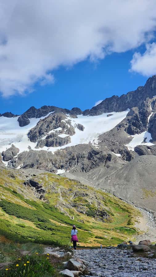 USHUAIA | City Tour + Martial Glacier Reserve - Le Martial Nature Reserve: Your Glacier View Plan in Real Time