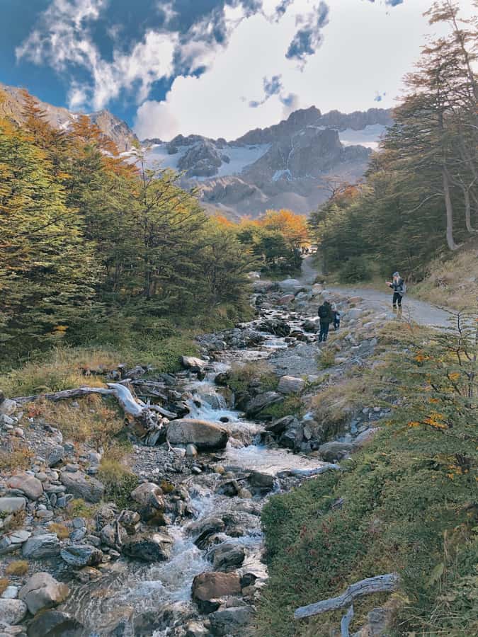 USHUAIA | City Tour + Martial Glacier Reserve - The Uphill Option: How to Decide If the Moderate Hike Fits