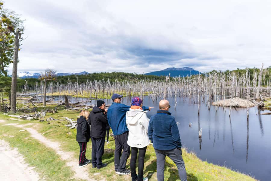 Ushuaia: Escondido & Fagnano Lakes Tour AM - Lunch at Your Own Pace, Then Back to Ushuaia