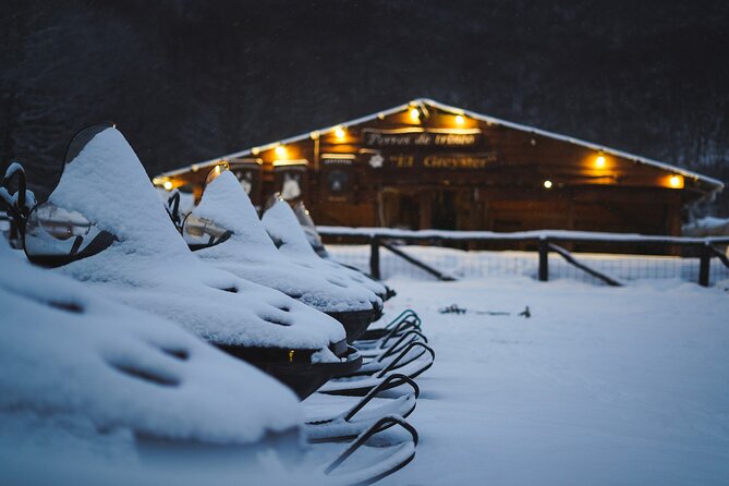 Ushuaia Night Adventure: Snowshoeing and Snowmobiling - Key Points to Know Before You Go