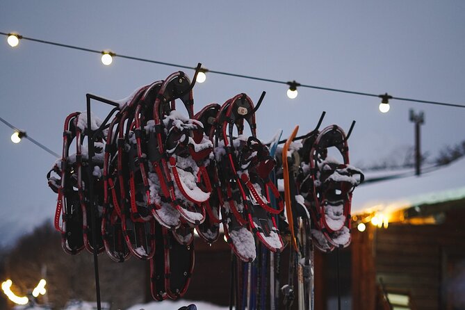 Ushuaia Night Adventure: Snowshoeing and Snowmobiling - Dinner, Craft Beer, and a Warm Finish After the Cold