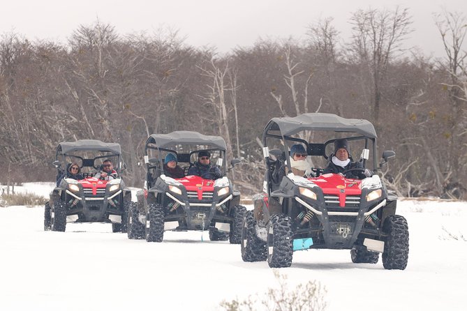 Ushuaia Night Adventure: Snowshoeing and Snowmobiling - Price and Value: Is $220 Fair for What You Get?