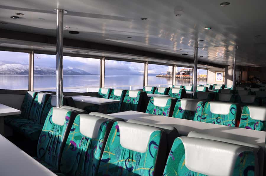Ushuaia: Penguin Watching Tour by Catamaran - Who should book this penguin catamaran, and who should skip it