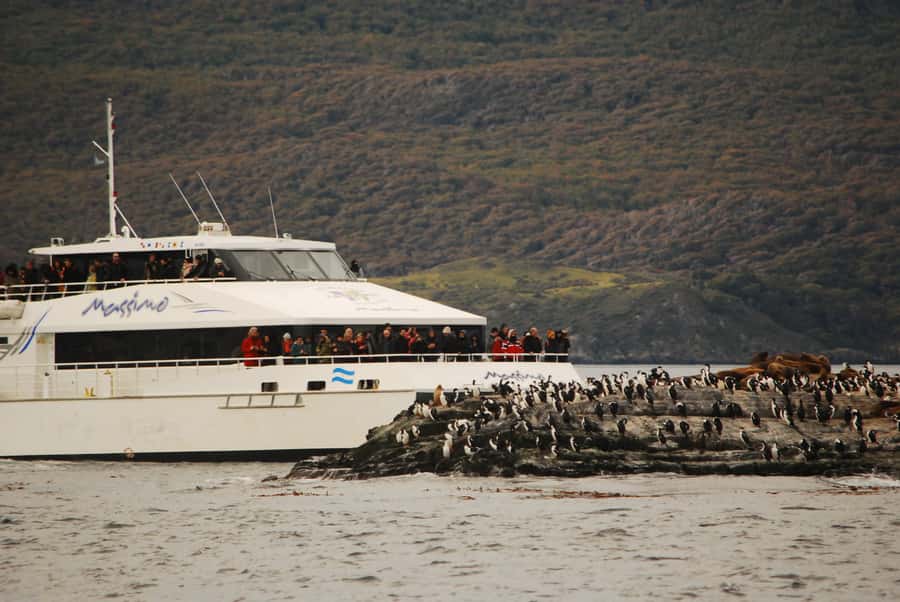 Ushuaia: Penguin Watching Tour by Catamaran - Beagle Channel routing: why Paso Chico and the long views matter