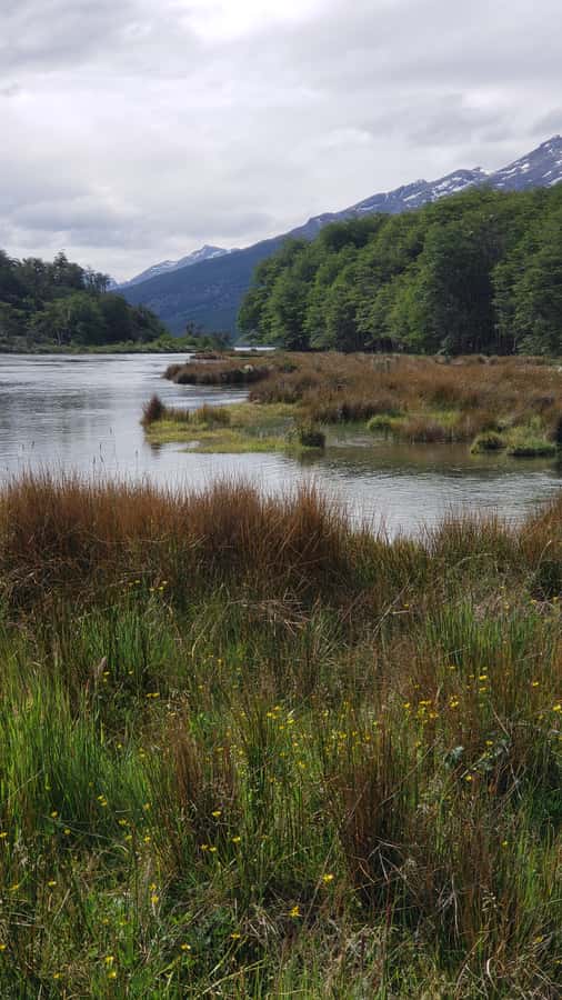 Ushuaia: Private Tour Tierra del Fuego National Park - Roca Lake: glacier-made calm, plus the hot drink pause