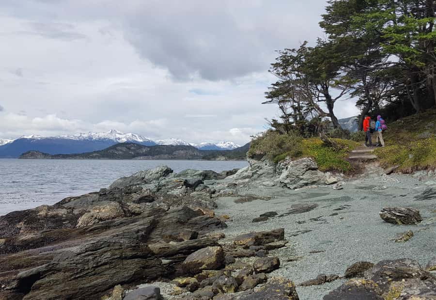 Ushuaia: Private Tour Tierra del Fuego National Park - Price and logistics for a 5-hour private park day