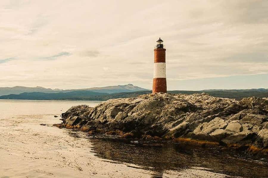 Ushuaia: Sailing Beagle Channel to the Penguin Colony - Los Lobos and the sea lions: why this stop works even if penguins are quiet