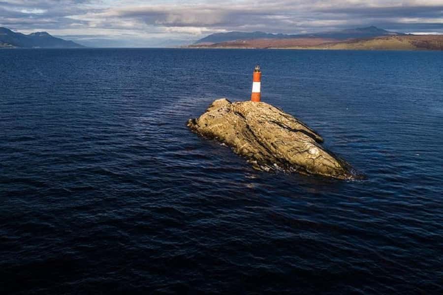 Ushuaia: Sailing Beagle Channel to the Penguin Colony - Bird Island and seabirds: more than background scenery