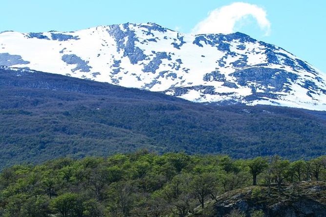 Ushuaia Shore Excursion: Private Tour of Tierra del Fuego National Park - Tierra del Fuego from Ushuaia: the trip that feels like you stepped off the map