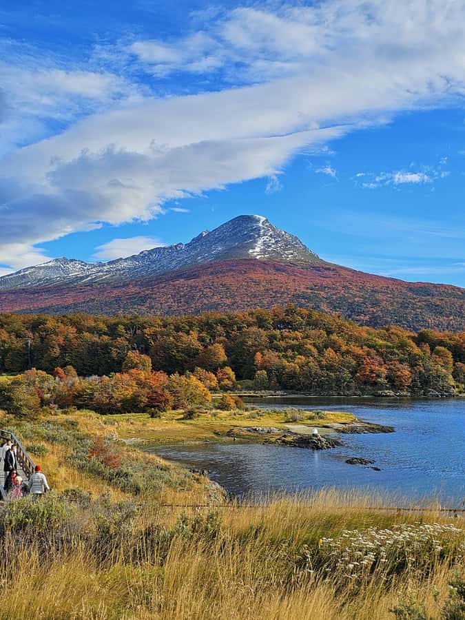 Ushuaia: Tierra del Fuego National Park - Who should book this Ushuaia park excursion, and who should look elsewhere