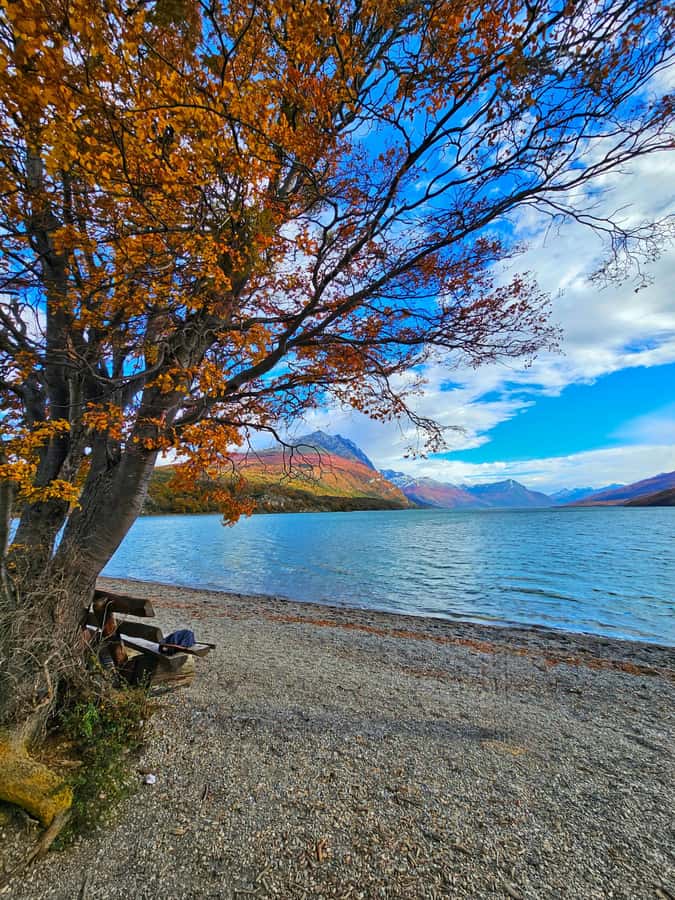 Ushuaia: Tierra del Fuego National Park - FAQ