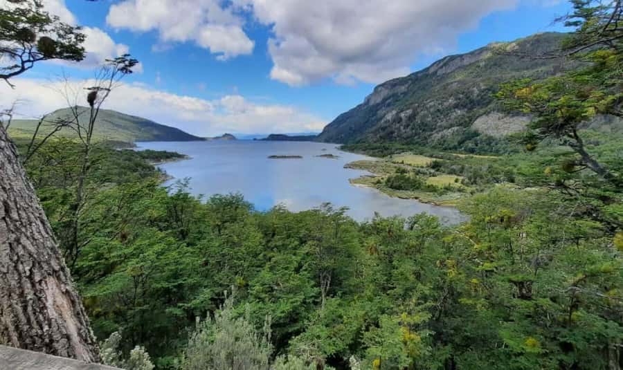 Ushuaia: Tierra del Fuego National Park Half-Day Tour - Summer Ensenada stop: Andes, forest, sea, and postcards