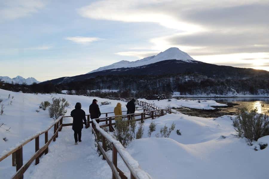 Ushuaia: Tierra del Fuego National Park Tour - Price and value: what you get for $73 in Tierra del Fuego