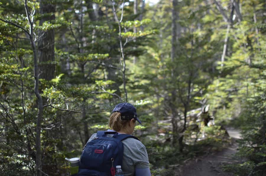 Ushuaia: Tierra del Fuego National Park Tour - Lake Acigami: glacial origins, forests, and native birds (maybe)