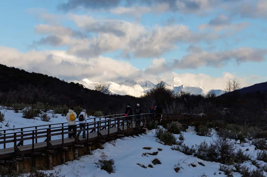 Ushuaia: Tierra del Fuego National Park Tour - The return to Ushuaia: what you carry away