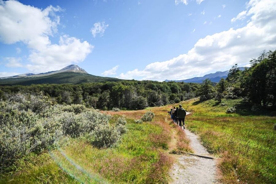 Ushuaia: Tierra del Fuego National Park Tour - What to bring (and what to skip) so the day feels easy