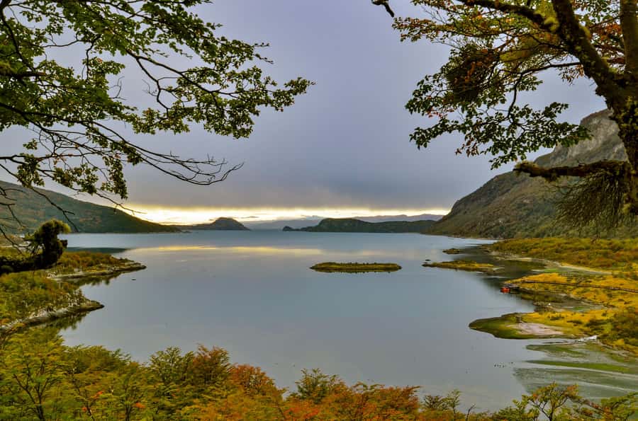 Ushuaia: Tierra del Fuego National Park Tour with Lunch - A 6-hour Ushuaia escape to the end of the road