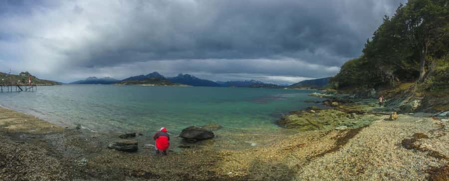 Ushuaia: Tierra del Fuego National Park Tour with Lunch - Tierra del Fuego National Park guided walking: short trails with real context