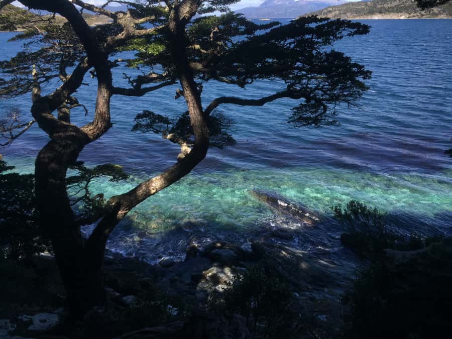 Ushuaia: Tierra del Fuego National Park Tour with Lunch - Price and value: is $108 a fair deal for this day?