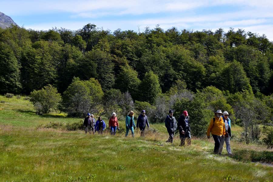 Ushuaia: Tierra del Fuego National Park - Lake Acigami: glacial calm and birdwatching chances
