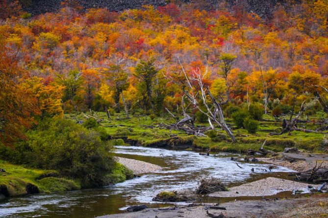 Ushuaia: Visit to the National Park and End of the World Train - The national park arrival: your guide should be waiting for you