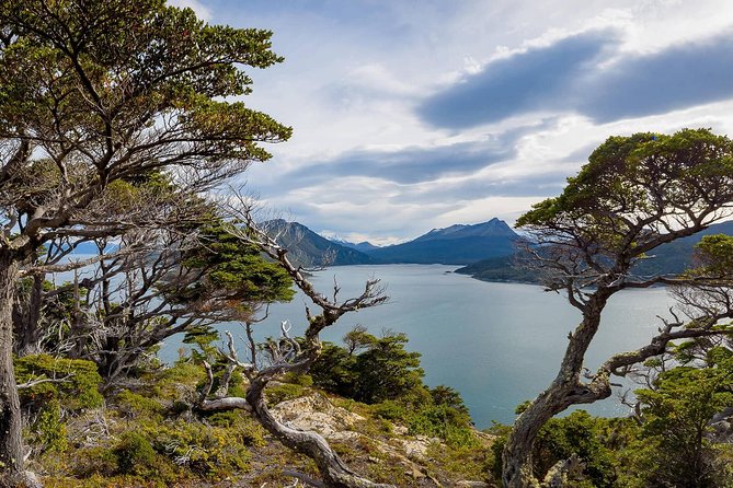 Ushuaia: Visit to the National Park and End of the World Train - Premium adds comfort, but the schedule and ticket match matter