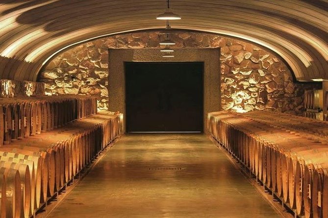 Vineyards with Wine Tasting in Mendoza - Key things you should know before you go