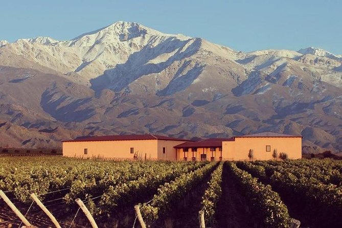 Vineyards with Wine Tasting in Mendoza - Price and value: what $42 is really buying