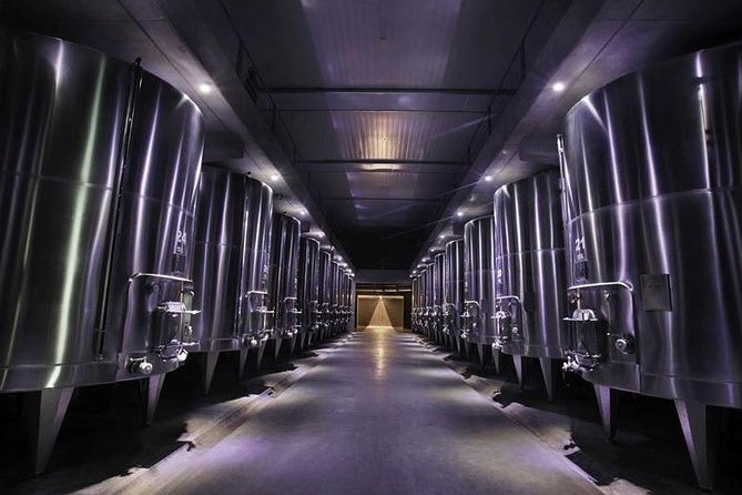 Vineyards with Wine Tasting in Mendoza - Luján de Cuyo: irrigation history, immigrant work, and how it shapes the wineries