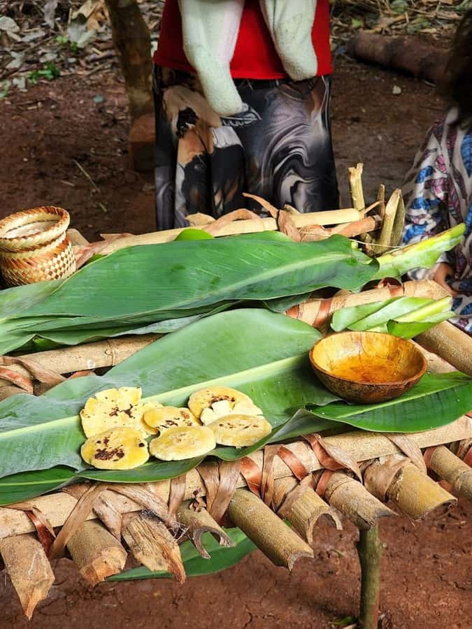 Visit Guarani village at Mborore Fort with brunch - Final advice: should you book the Guarani village visit with brunch?