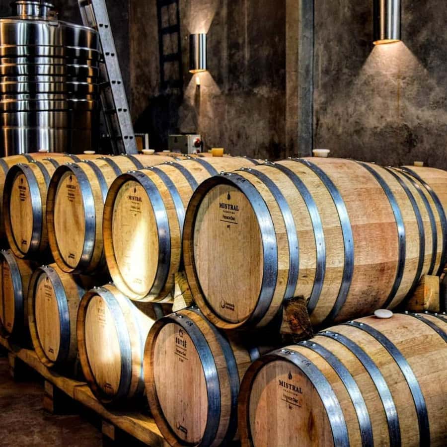 Visit & Tasting at Salentein + Lunch at La Azul - Price and value: is $244 per person a good deal?