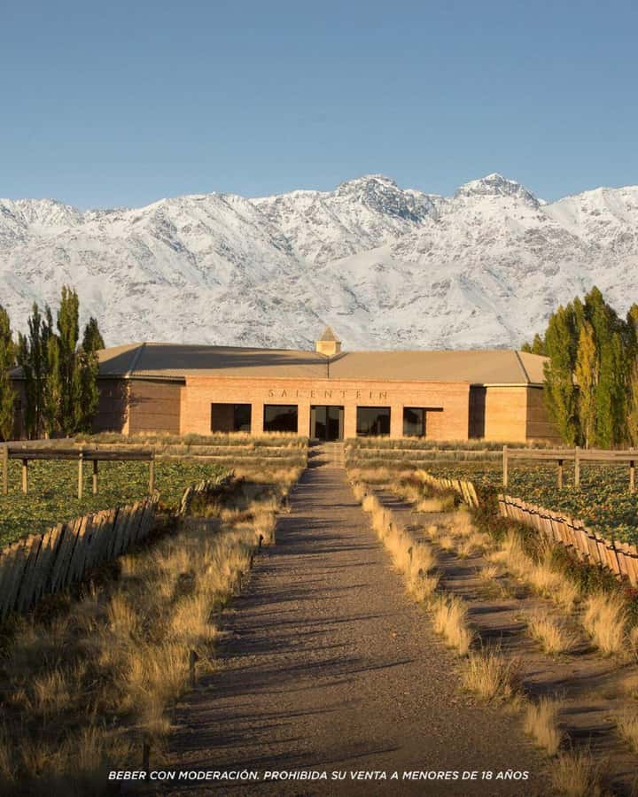 Visit & Tasting at Salentein + Lunch at La Azul - The 4-wine guided tasting: Reserve, Númina, and sparkling