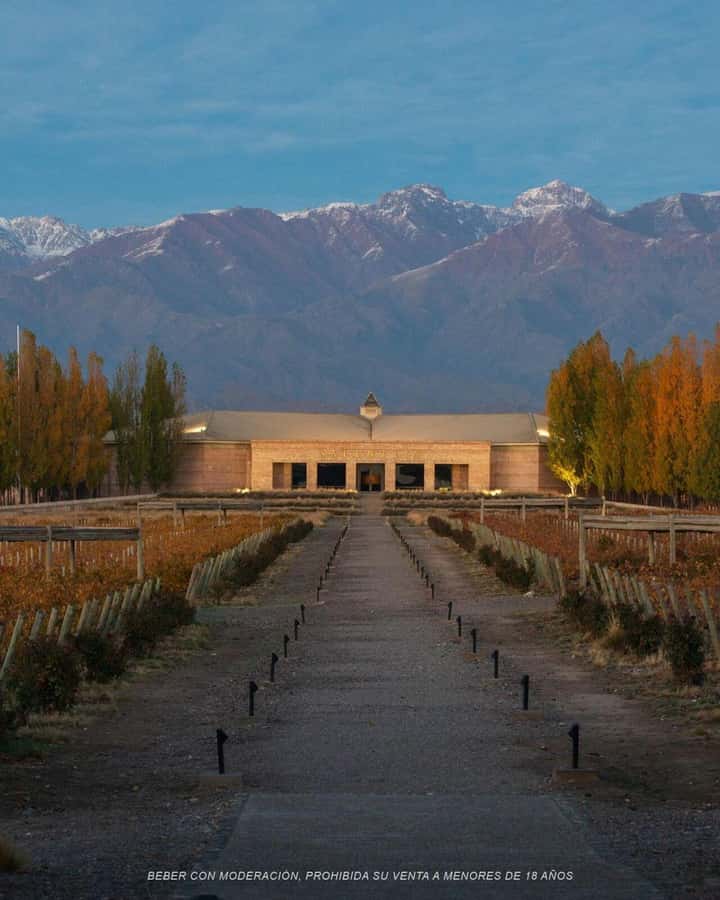 Visit & Tasting at Salentein + Lunch at La Azul - Timing and pacing: how the 7-hour schedule feels in real life