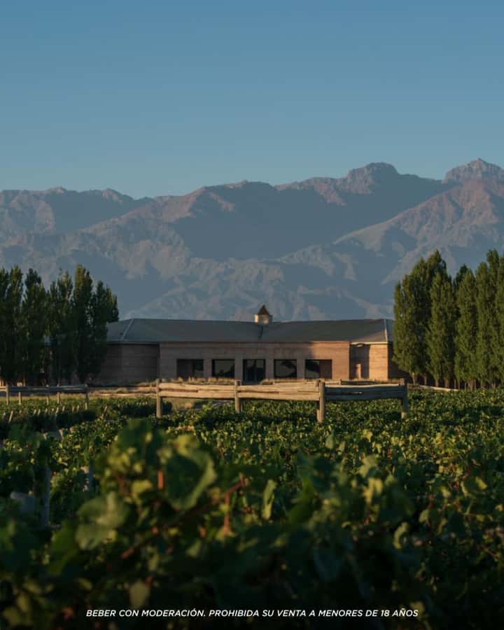 Visit & Tasting at Salentein + Lunch at La Azul - Views, weather, and what to bring for comfort