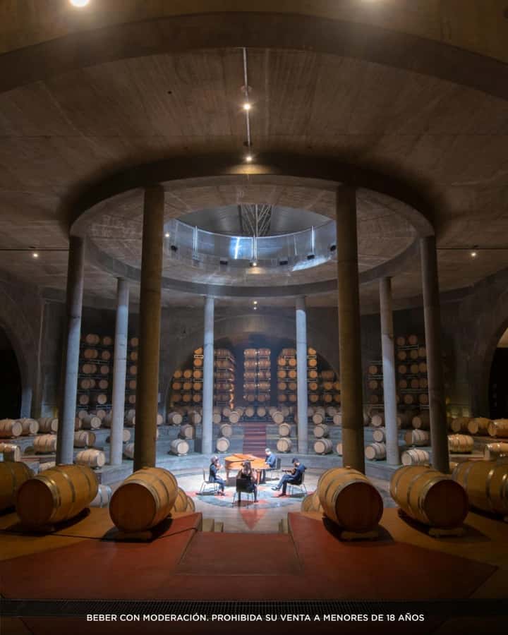 Visit & Tasting at Salentein + Lunch at La Azul - Private pickup from Mendoza, then the long scenic drive
