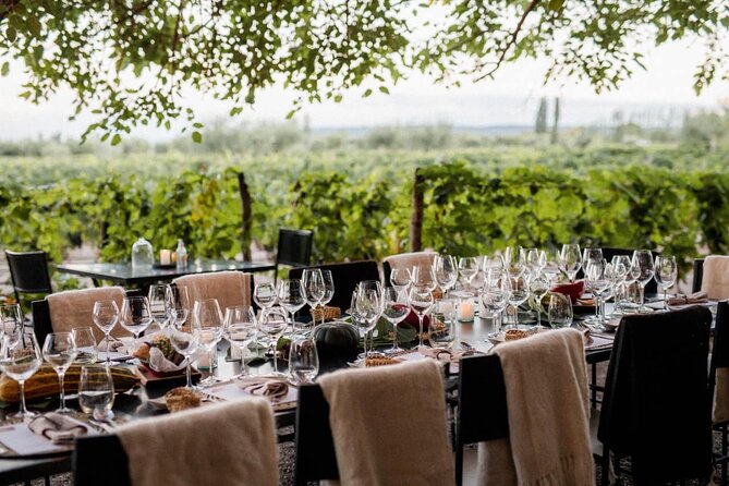Visita Bodega Huarpe + Almuerzo Bodega Lagarde. Transfer privado - Key highlights you’ll actually feel in Mendoza