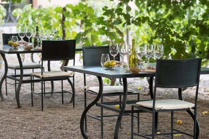 Visita Bodega Huarpe + Almuerzo Bodega Lagarde. Transfer privado - Things to Know Before You Go
