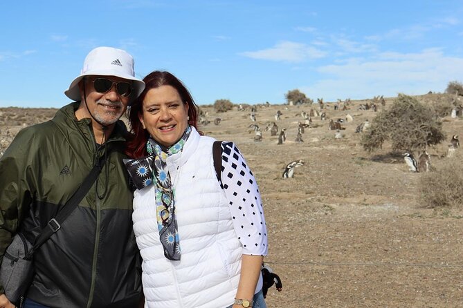 Walk with the Penguins- EARLY BOOKING -20% OFF Cruise Passengers - Key Things to Know Before You Go