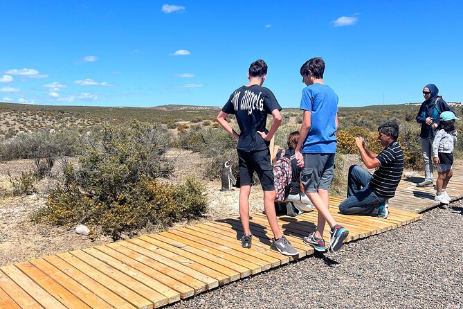 Walk with the Penguins- EARLY BOOKING -20% OFF Cruise Passengers - Walking Among Penguins: What the Reserve Experience Feels Like