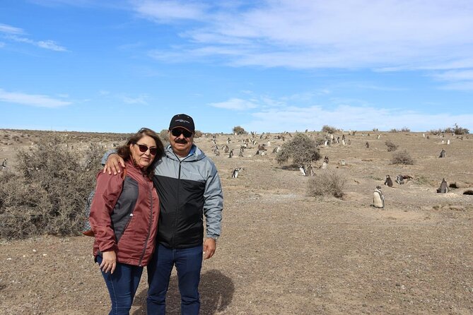 Walk with the Penguins- EARLY BOOKING -20% OFF Cruise Passengers - Price and Logistics: What You Pay and Why It Adds Up
