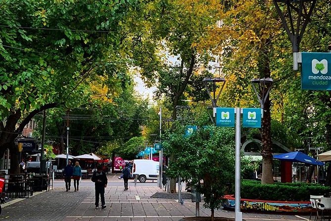 Walking City Tour - What Makes This Mendoza Walk Worth Your 5:00 pm Start?