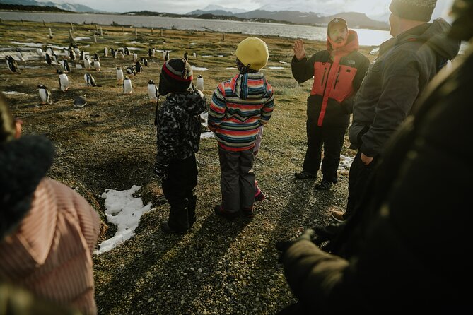 Walking with Penguins in Ushuaia Hammer Island - Terrestrial - Stop 1: Estancia Harberton, where the land-trip context matters