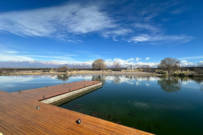 Wine Tour in Huentala Wines Departing from Ciudad Mendoza - Huentala Wines in Gualtallary: the main reason to choose this tour