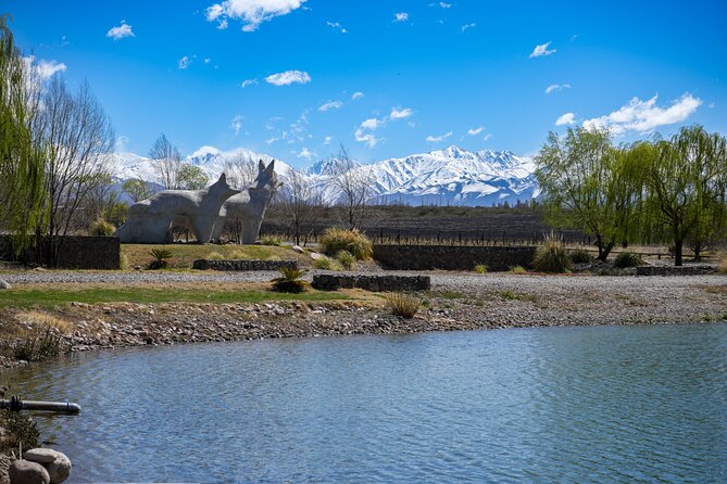 Wine Tour in Huentala Wines Departing from Ciudad Mendoza - Shared shuttle pickup from Ciudad Mendoza: comfort, timing, and real logistics