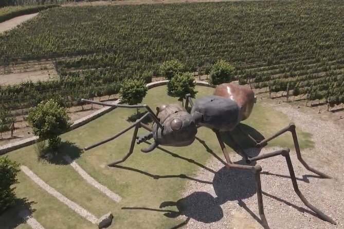 Wine Tour in Huentala Wines Departing from Ciudad Mendoza - FAQ