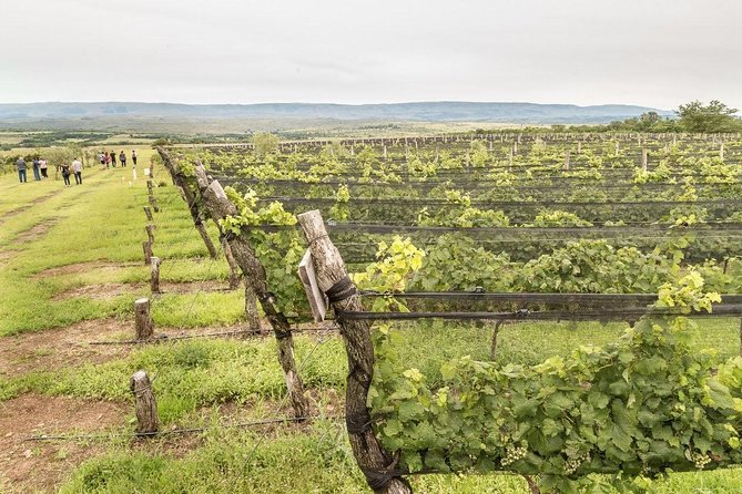 Wine Tour Privado a Calamuchita, Córdoba - Argentina - Key highlights to look forward to