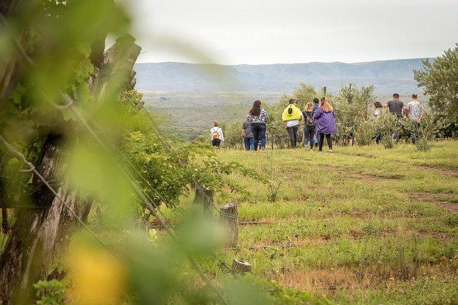 Wine Tour Privado a Calamuchita, Córdoba - Argentina - Starting from Chacabuco y Bolivia, and Planning for a Full 9 Hours