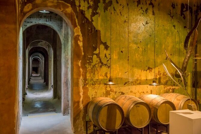 Wine Tour Privado a Colonia Caroya, Córdoba - Argentina - The Two Winery Stops You’re Really Paying For