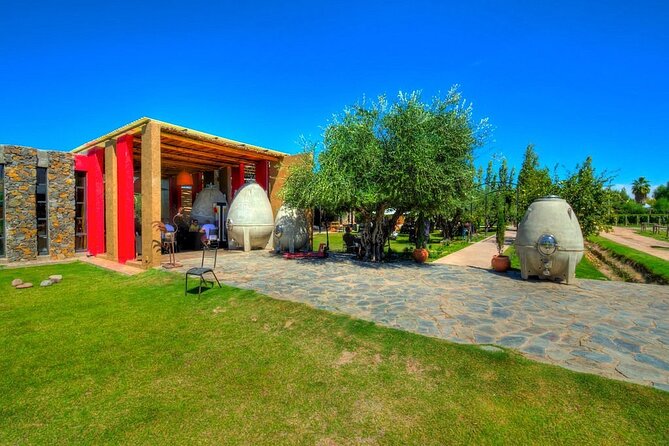 Winery The Enemy + Zapata Angelic Lunch. Private transportation - Practical tips to get the most from your tasting and lunch